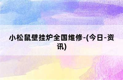 小松鼠壁挂炉全国维修-(今日-资讯)