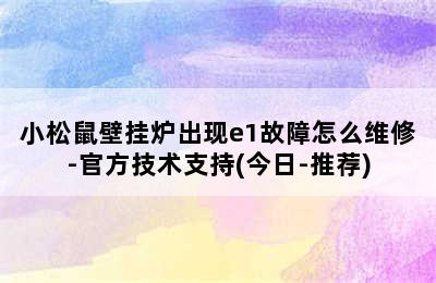 小松鼠壁挂炉出现e1故障怎么维修-官方技术支持(今日-推荐)