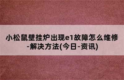 小松鼠壁挂炉出现e1故障怎么维修-解决方法(今日-资讯)