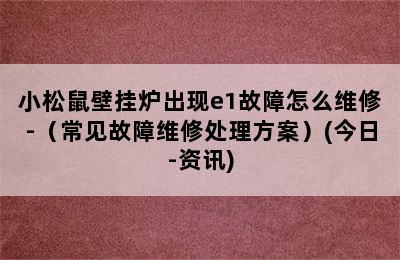 小松鼠壁挂炉出现e1故障怎么维修-（常见故障维修处理方案）(今日-资讯)