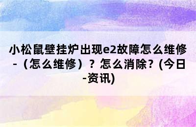 小松鼠壁挂炉出现e2故障怎么维修-（怎么维修）？怎么消除？(今日-资讯)