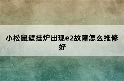 小松鼠壁挂炉出现e2故障怎么维修好