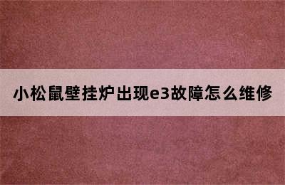 小松鼠壁挂炉出现e3故障怎么维修