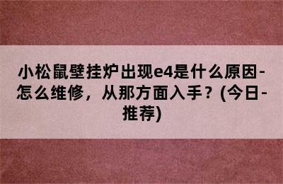 小松鼠壁挂炉出现e4是什么原因-怎么维修，从那方面入手？(今日-推荐)