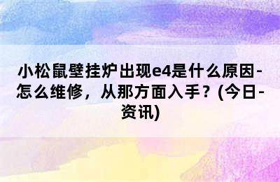 小松鼠壁挂炉出现e4是什么原因-怎么维修，从那方面入手？(今日-资讯)