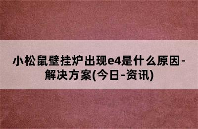 小松鼠壁挂炉出现e4是什么原因-解决方案(今日-资讯)