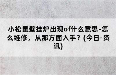 小松鼠壁挂炉出现of什么意思-怎么维修，从那方面入手？(今日-资讯)