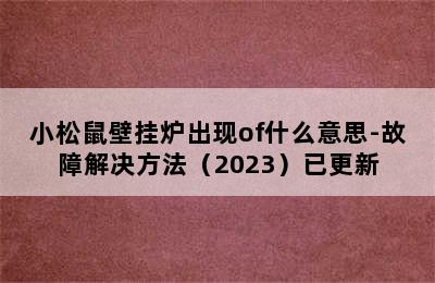 小松鼠壁挂炉出现of什么意思-故障解决方法（2023）已更新