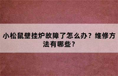 小松鼠壁挂炉故障了怎么办？维修方法有哪些？