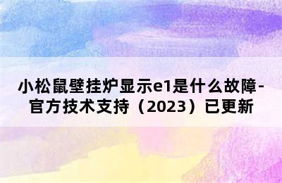 小松鼠壁挂炉显示e1是什么故障-官方技术支持（2023）已更新