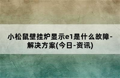 小松鼠壁挂炉显示e1是什么故障-解决方案(今日-资讯)