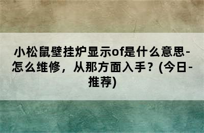 小松鼠壁挂炉显示of是什么意思-怎么维修，从那方面入手？(今日-推荐)