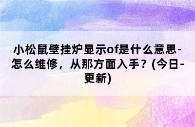 小松鼠壁挂炉显示of是什么意思-怎么维修，从那方面入手？(今日-更新)