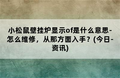 小松鼠壁挂炉显示of是什么意思-怎么维修，从那方面入手？(今日-资讯)