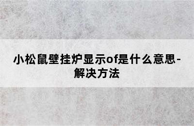 小松鼠壁挂炉显示of是什么意思-解决方法