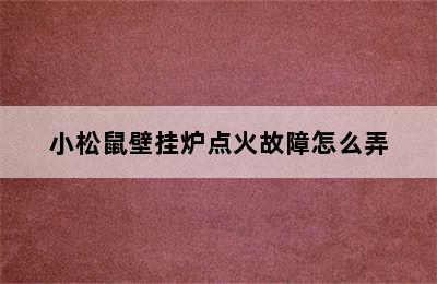 小松鼠壁挂炉点火故障怎么弄