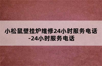 小松鼠壁挂炉维修24小时服务电话-24小时服务电话