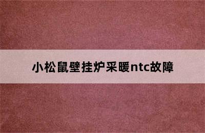 小松鼠壁挂炉采暖ntc故障