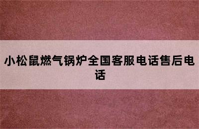 小松鼠燃气锅炉全国客服电话售后电话