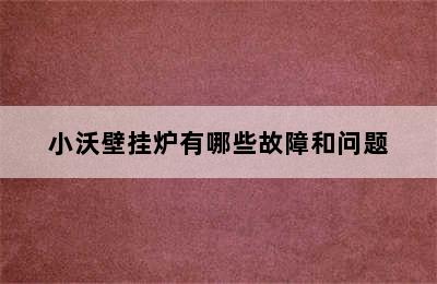 小沃壁挂炉有哪些故障和问题