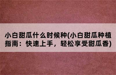 小白甜瓜什么时候种(小白甜瓜种植指南：快速上手，轻松享受甜瓜香)