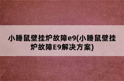 小睡鼠壁挂炉故障e9(小睡鼠壁挂炉故障E9解决方案)