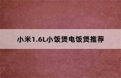 小米1.6L小饭煲电饭煲推荐