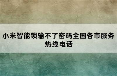 小米智能锁输不了密码全国各市服务热线电话