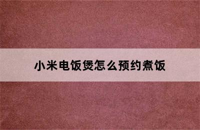 小米电饭煲怎么预约煮饭