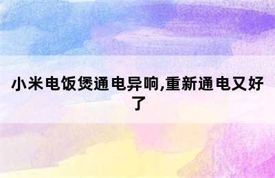 小米电饭煲通电异响,重新通电又好了