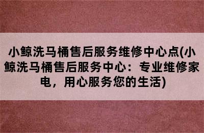 小鲸洗马桶售后服务维修中心点(小鲸洗马桶售后服务中心：专业维修家电，用心服务您的生活)