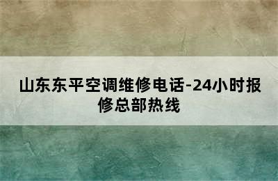 山东东平空调维修电话-24小时报修总部热线