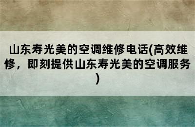 山东寿光美的空调维修电话(高效维修，即刻提供山东寿光美的空调服务)