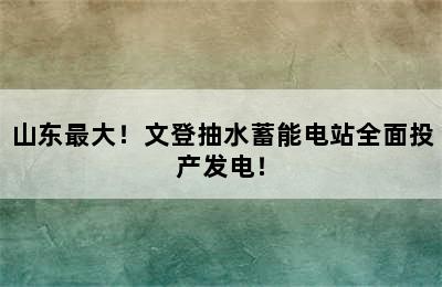 山东最大！文登抽水蓄能电站全面投产发电！