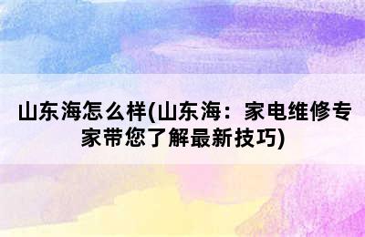 山东海怎么样(山东海：家电维修专家带您了解最新技巧)