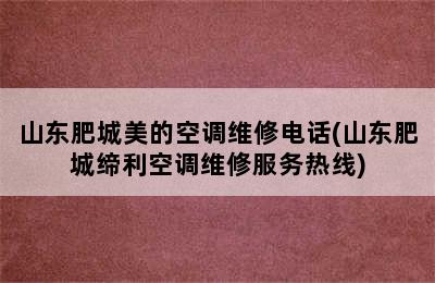 山东肥城美的空调维修电话(山东肥城缔利空调维修服务热线)