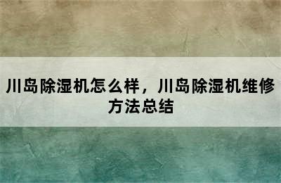 川岛除湿机怎么样，川岛除湿机维修方法总结