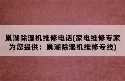 巢湖除湿机维修电话(家电维修专家为您提供：巢湖除湿机维修专线)