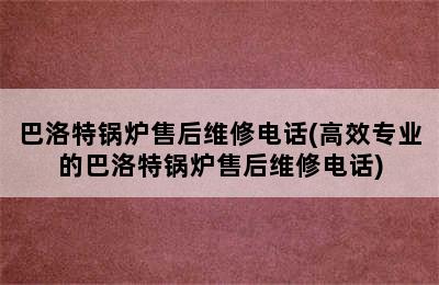 巴洛特锅炉售后维修电话(高效专业的巴洛特锅炉售后维修电话)