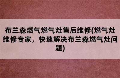 布兰森燃气燃气灶售后维修(燃气灶维修专家，快速解决布兰森燃气灶问题)