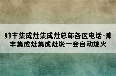 帅丰集成灶集成灶总部各区电话-帅丰集成灶集成灶烧一会自动熄火