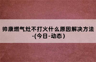 帅康燃气灶不打火什么原因解决方法-(今日-动态）