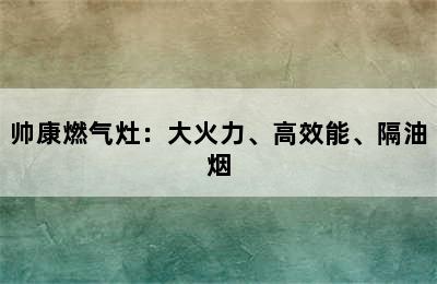 帅康燃气灶：大火力、高效能、隔油烟