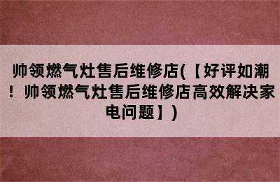 帅领燃气灶售后维修店(【好评如潮！帅领燃气灶售后维修店高效解决家电问题】)