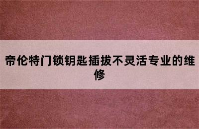 帝伦特门锁钥匙插拔不灵活专业的维修