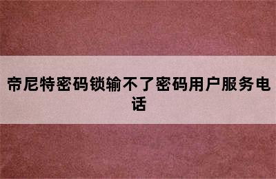 帝尼特密码锁输不了密码用户服务电话