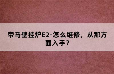 帝马壁挂炉E2-怎么维修，从那方面入手？