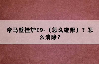 帝马壁挂炉E9-（怎么维修）？怎么消除？