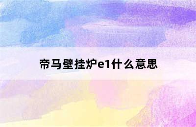 帝马壁挂炉e1什么意思