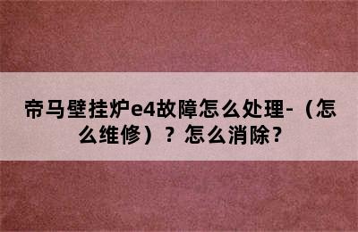 帝马壁挂炉e4故障怎么处理-（怎么维修）？怎么消除？